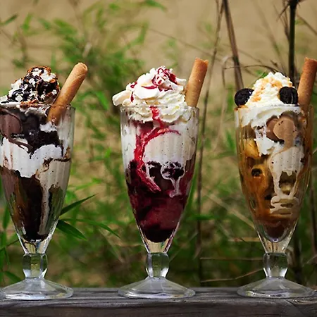 Vert Lodge Chamonix מלון