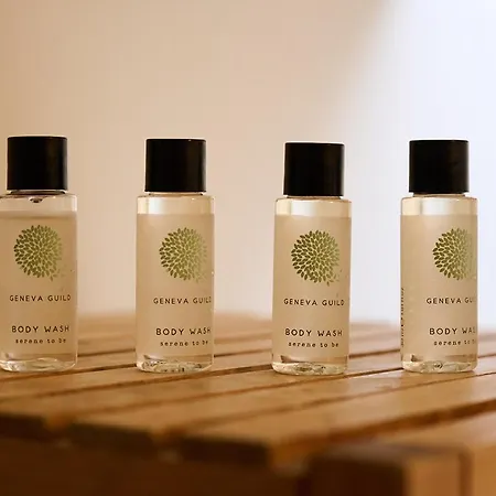 Vert Lodge Chamonix 2*