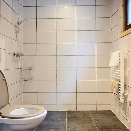 מלון Vert Lodge Chamonix 2*